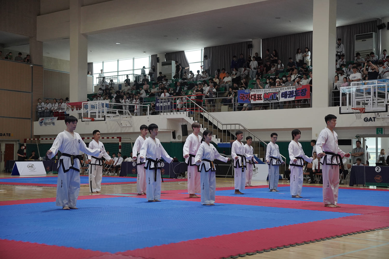ITF 태권도 시범단 경기장 단체 정렬
