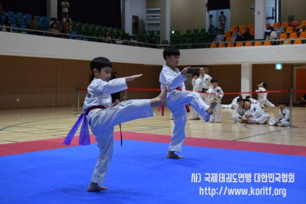 2019 ITF거창오픈 태권도 챔피언쉽 대회 - 주니어 틀 경연