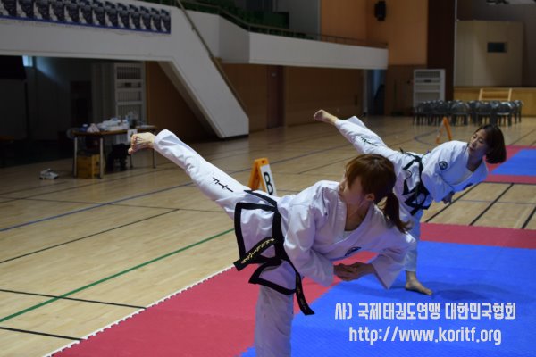 2019 ITF거창오픈 태권도 챔피언쉽 대회 -성인 틀 경연