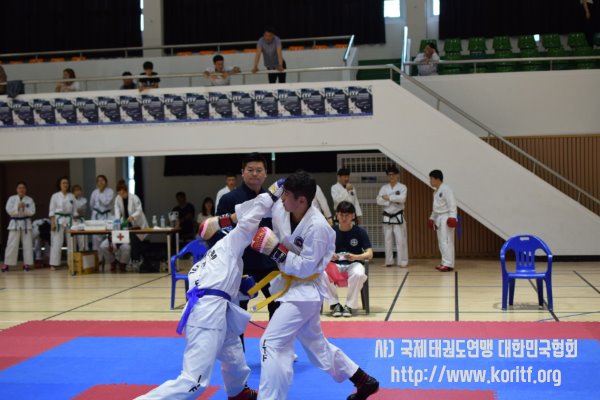 2019 ITF거창오픈 태권도 챔피언쉽 대회 –성인 맞서기