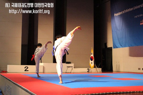 2019' 8월 신한대학교 총장배 ITF코리아 국제오픈 태권도대회 (2) 틀 경기진행